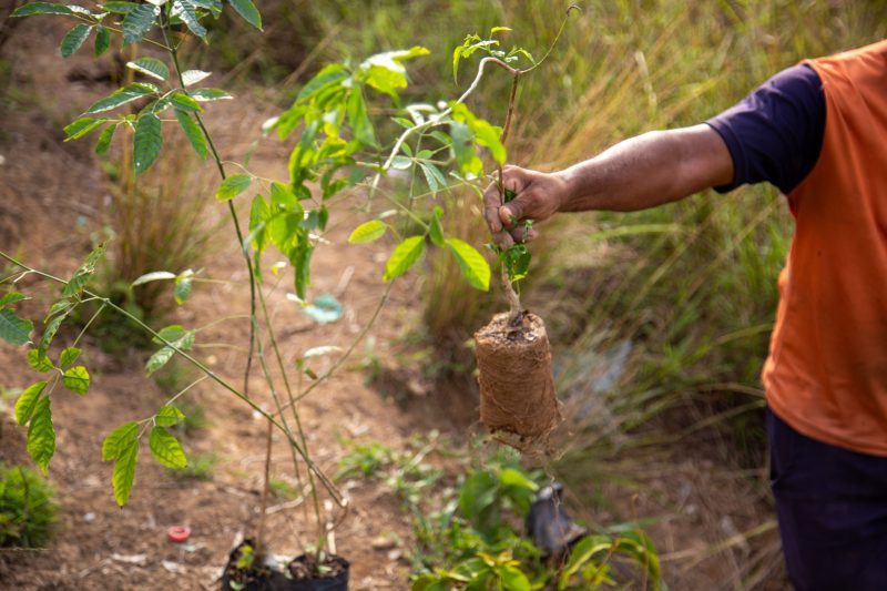 Segundo o Índice de Conservação Ambiental do Estado do Rio de Janeiro, Mesquita é o 4º município que mais investe em políticas verdes.